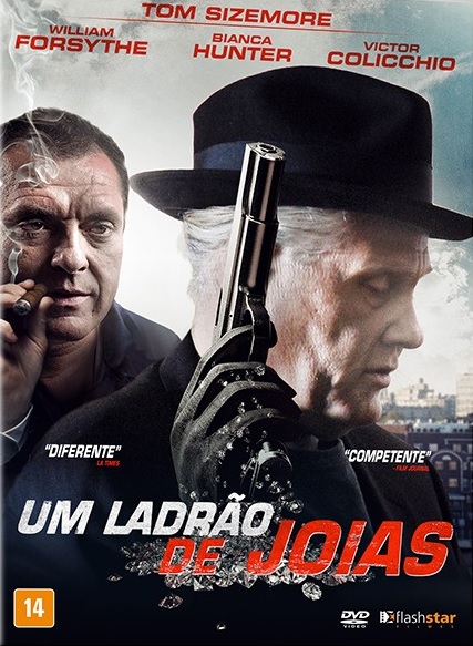 UM LADRÃO DE JÓIAS – DUBLADO